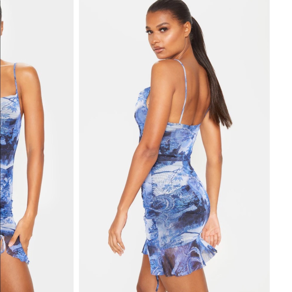 PLT Blue Mesh Oriental Print dress